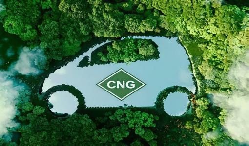 Introduction To Installation Precautions For CNG Gas Vehicle Conversion Kit