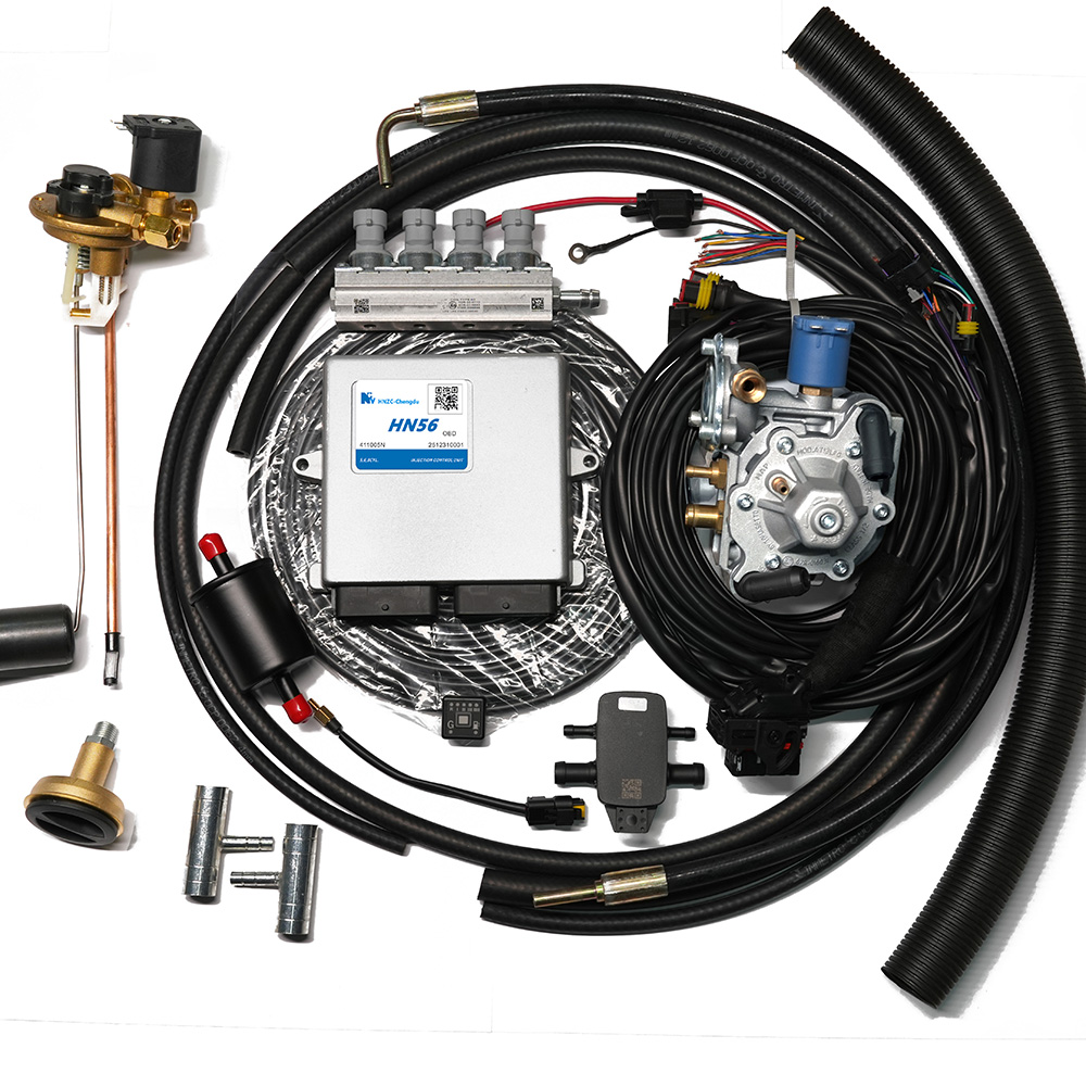 LPG HN48 GAS ECU Conversion KIT For 4 CYL Series 1-2